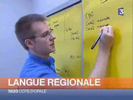 Les travaux linguistiques de l'Institut de la Langue R�gionale Flamande